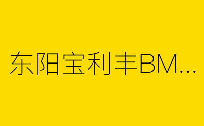 东阳宝利丰BMW7系-营销策划方案行业大数据搜索引擎