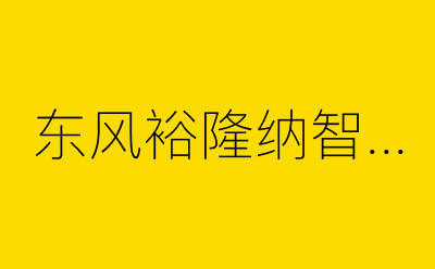 东风裕隆纳智捷-营销策划方案行业大数据搜索引擎