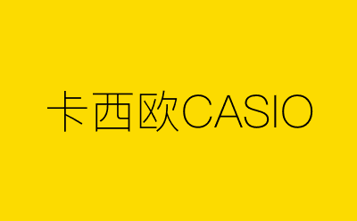 卡西欧CASIO-营销策划方案行业大数据搜索引擎