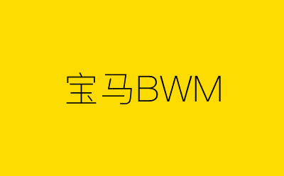 宝马BWM-营销策划方案行业大数据搜索引擎