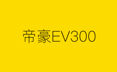 帝豪EV300-营销策划方案行业大数据搜索引擎