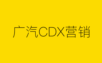 广汽CDX营销-营销策划方案行业大数据搜索引擎