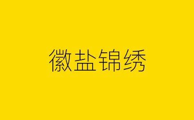 徽盐锦绣-营销策划方案行业大数据搜索引擎