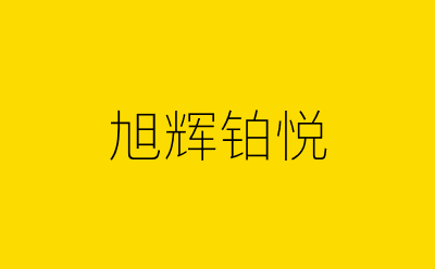 旭辉铂悦-营销策划方案行业大数据搜索引擎