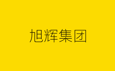 旭辉集团-营销策划方案行业大数据搜索引擎