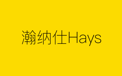瀚纳仕Hays-营销策划方案行业大数据搜索引擎