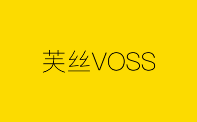 芙丝VOSS-营销策划方案行业大数据搜索引擎