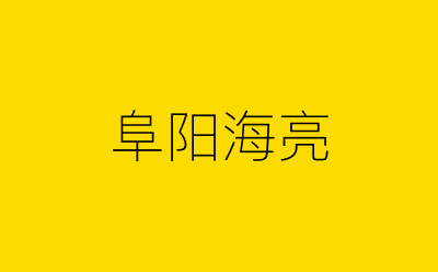 阜阳海亮-营销策划方案行业大数据搜索引擎