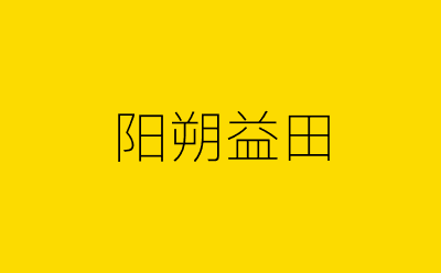 阳朔益田-营销策划方案行业大数据搜索引擎