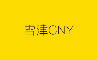 雪津CNY-营销策划方案行业大数据搜索引擎