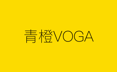 青橙VOGA-营销策划方案行业大数据搜索引擎