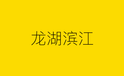 龙湖滨江-营销策划方案行业大数据搜索引擎