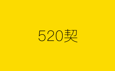520契-营销策划方案行业大数据搜索引擎