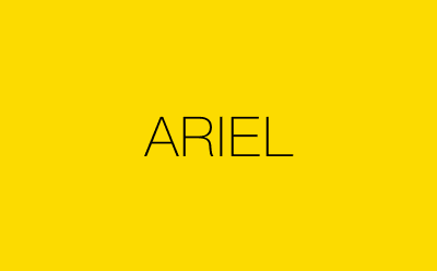 ARIEL-营销策划方案行业大数据搜索引擎
