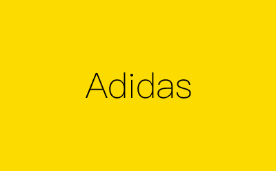 Adidas-营销策划方案行业大数据搜索引擎