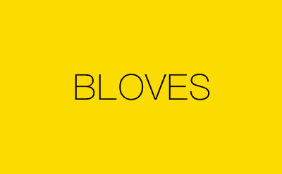 BLOVES-营销策划方案行业大数据搜索引擎