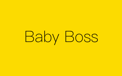 Baby Boss-营销策划方案行业大数据搜索引擎