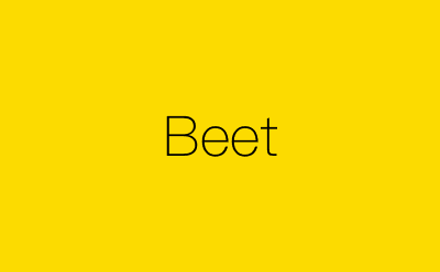 Beet-营销策划方案行业大数据搜索引擎