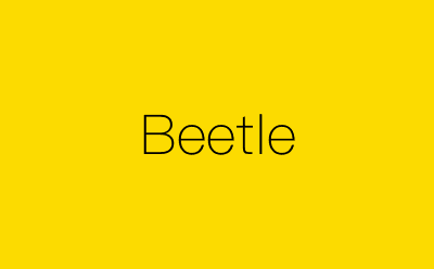 Beetle-营销策划方案行业大数据搜索引擎