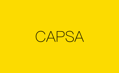 CAPSA-营销策划方案行业大数据搜索引擎