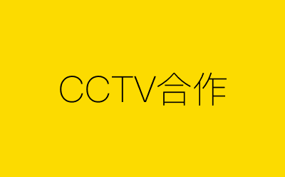 CCTV合作-营销策划方案行业大数据搜索引擎