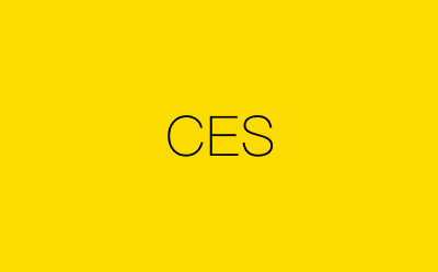 CES-营销策划方案行业大数据搜索引擎