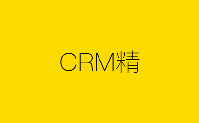 CRM精-营销策划方案行业大数据搜索引擎