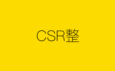 CSR整-营销策划方案行业大数据搜索引擎