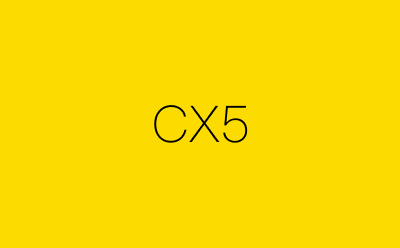 CX5-营销策划方案行业大数据搜索引擎