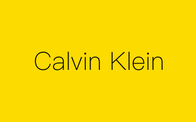 Calvin Klein-营销策划方案行业大数据搜索引擎