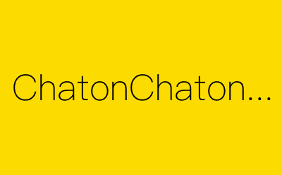 ChatonChatonne-营销策划方案行业大数据搜索引擎
