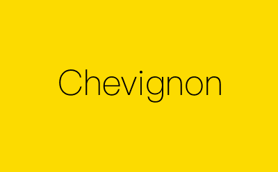 Chevignon-营销策划方案行业大数据搜索引擎