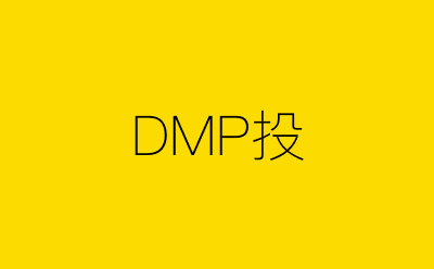 DMP投-营销策划方案行业大数据搜索引擎