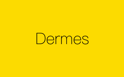 Dermes-营销策划方案行业大数据搜索引擎
