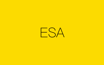 ESA-营销策划方案行业大数据搜索引擎