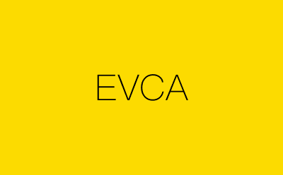 EVCA-营销策划方案行业大数据搜索引擎