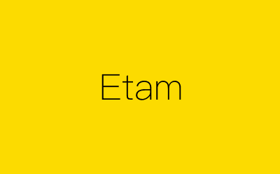 Etam-营销策划方案行业大数据搜索引擎