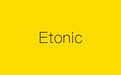 Etonic-营销策划方案行业大数据搜索引擎