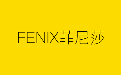 FENIX菲尼莎-营销策划方案行业大数据搜索引擎
