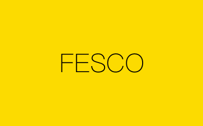 FESCO-营销策划方案行业大数据搜索引擎
