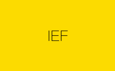 IEF-营销策划方案行业大数据搜索引擎