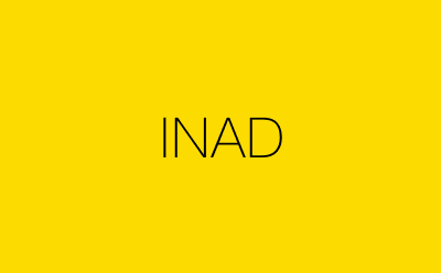 INAD-营销策划方案行业大数据搜索引擎
