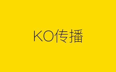 KO传播-营销策划方案行业大数据搜索引擎