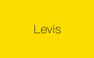 Levis-营销策划方案行业大数据搜索引擎