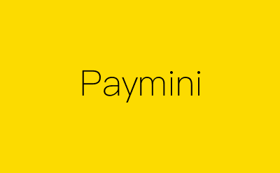Paymini-营销策划方案行业大数据搜索引擎