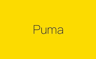 Puma-营销策划方案行业大数据搜索引擎