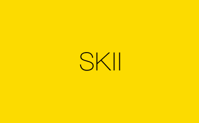 SKII-营销策划方案行业大数据搜索引擎