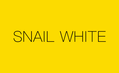 SNAIL WHITE-营销策划方案行业大数据搜索引擎
