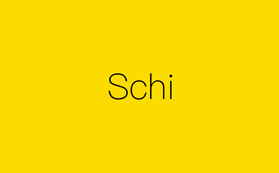 Schi-营销策划方案行业大数据搜索引擎