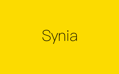 Synia-营销策划方案行业大数据搜索引擎